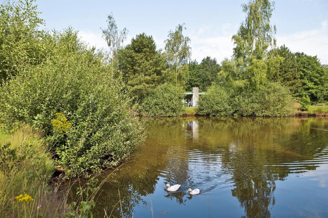 Center Parcs Limburgse Peel Limburg-Brabant Hotel America Luaran gambar